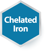 Chelated Iron