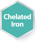 Chelated Iron