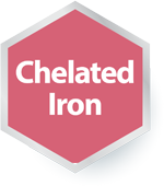 Chelated Iron