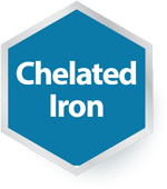 Chelated Iron