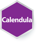 Calendula