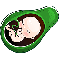 avocado